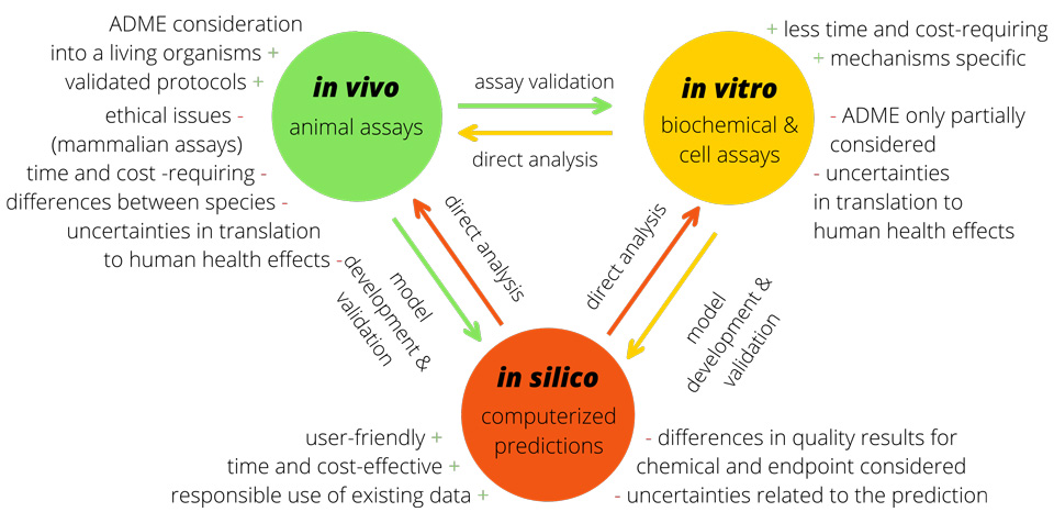 Diferença entre os termos in vivo, in vitro e in silico